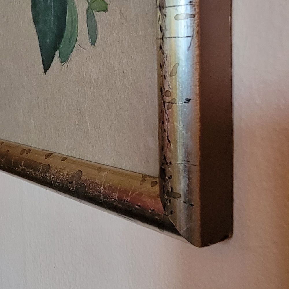 🌱 Vintage Hand Painted Framed Art - Picture 6 of 6